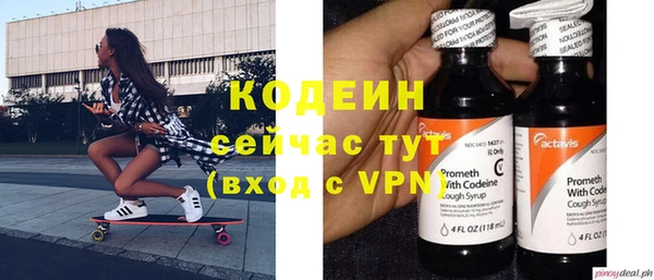 дурь Алексин