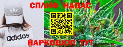 apvp Коммунар