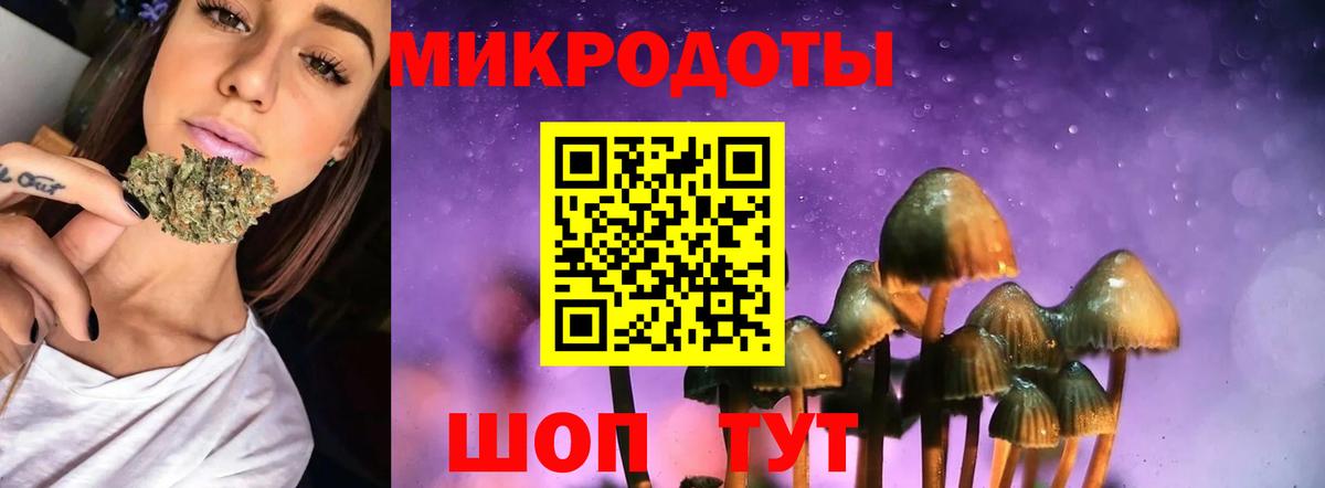 Галлюциногенные грибы Cubensis Кириши